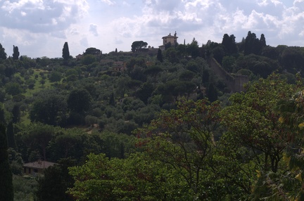 Florence-IMGP5546