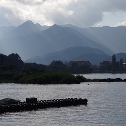 静岡県 (Shizuoka)