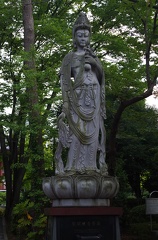 IMGP9084