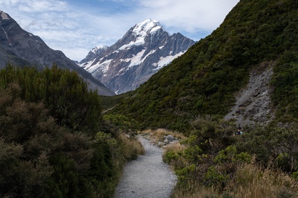 NZ-0140-IMGP0657