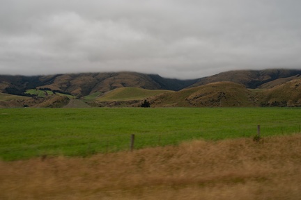NZ-0211-IMGP1018