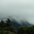 NZ-0426-P1312451.jpg