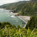 NZ-0465-P1312585