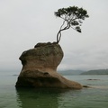 NZ-0511-P1312691