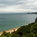 NZ-0520-P1312762