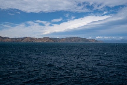 NZ-0548-IMGP2537