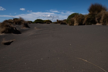 NZ-0619-IMGP2782