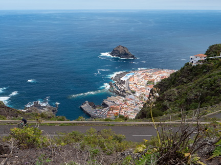 Canaries-0063-P1515247
